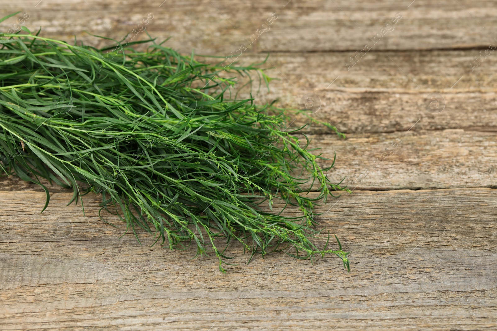 Photo of Fresh tarragon sprigs on wooden table. Space for text