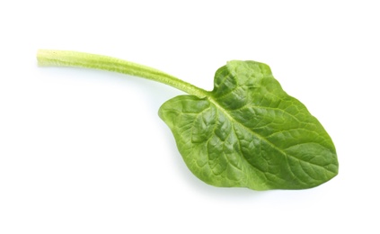 Fresh leaf of spinach isolated on white, top view