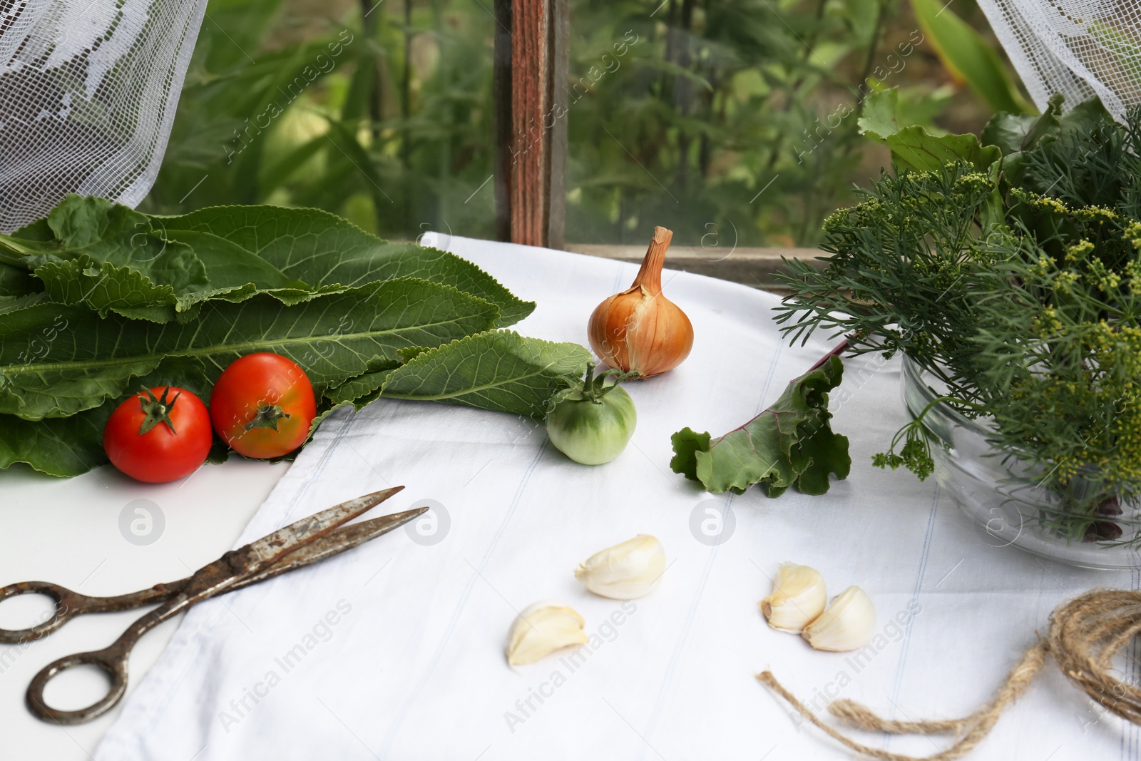 Photo of Fresh green herbs, tomatoes, garlic cloves, onion, scissors and twine on table indoors