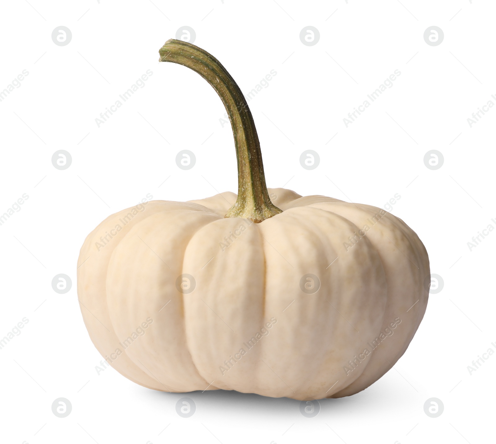 Photo of One whole ripe pumpkin isolated on white