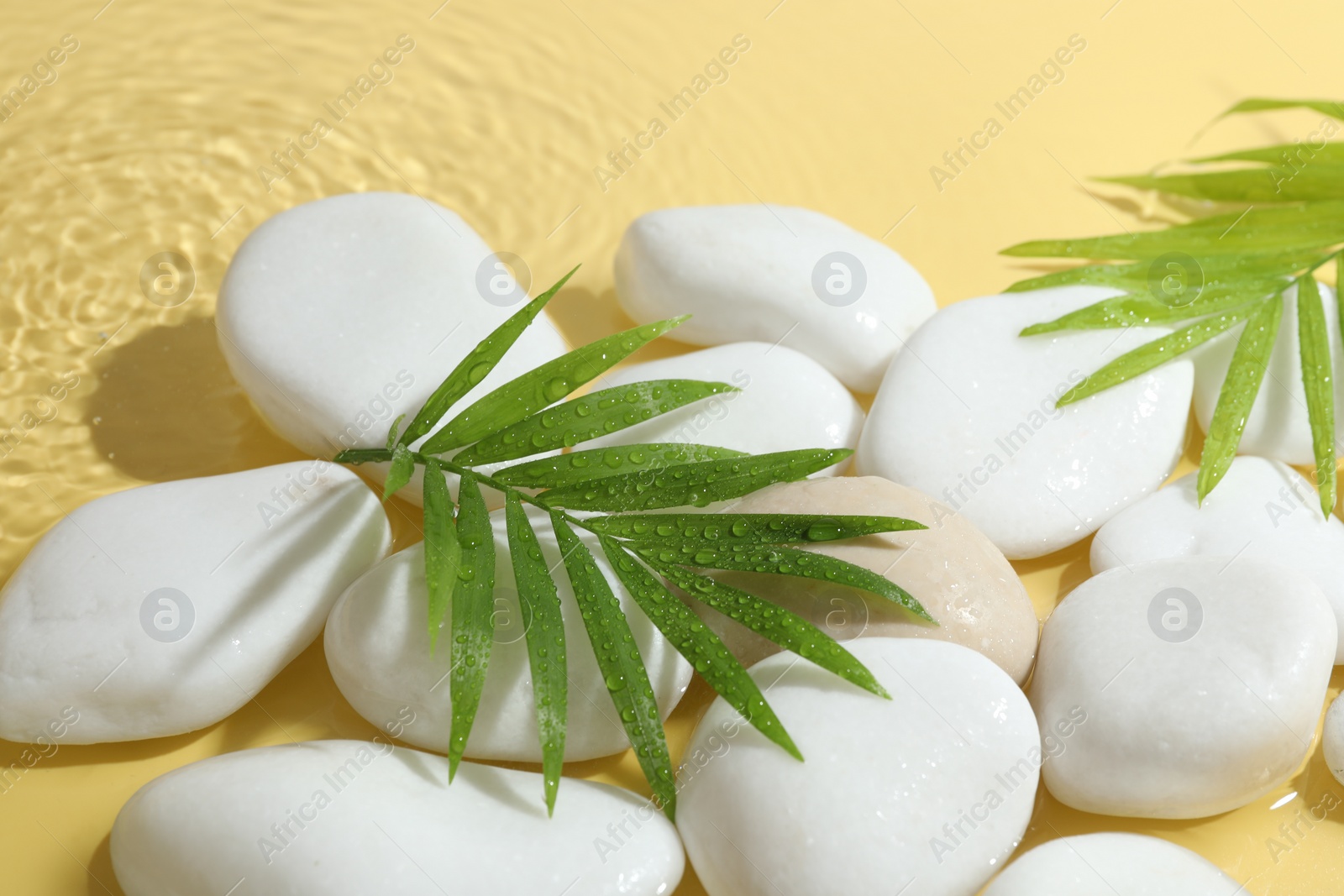 Photo of Spa stones and palm leaves in water on yellow background, closeup