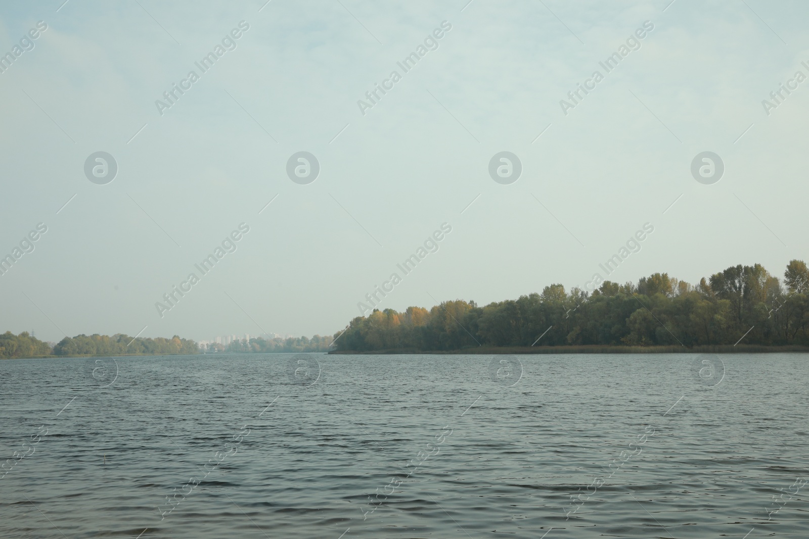 Photo of Beautiful lake and shore with trees under sky