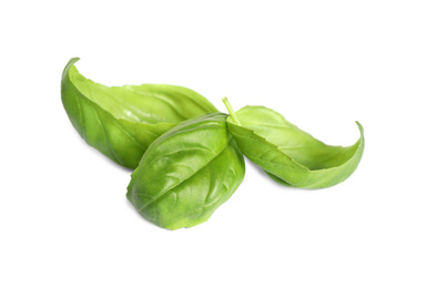 Fresh green basil leaves isolated on white