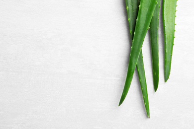 Flat lay composition with fresh aloe vera leaves and space for text on light background