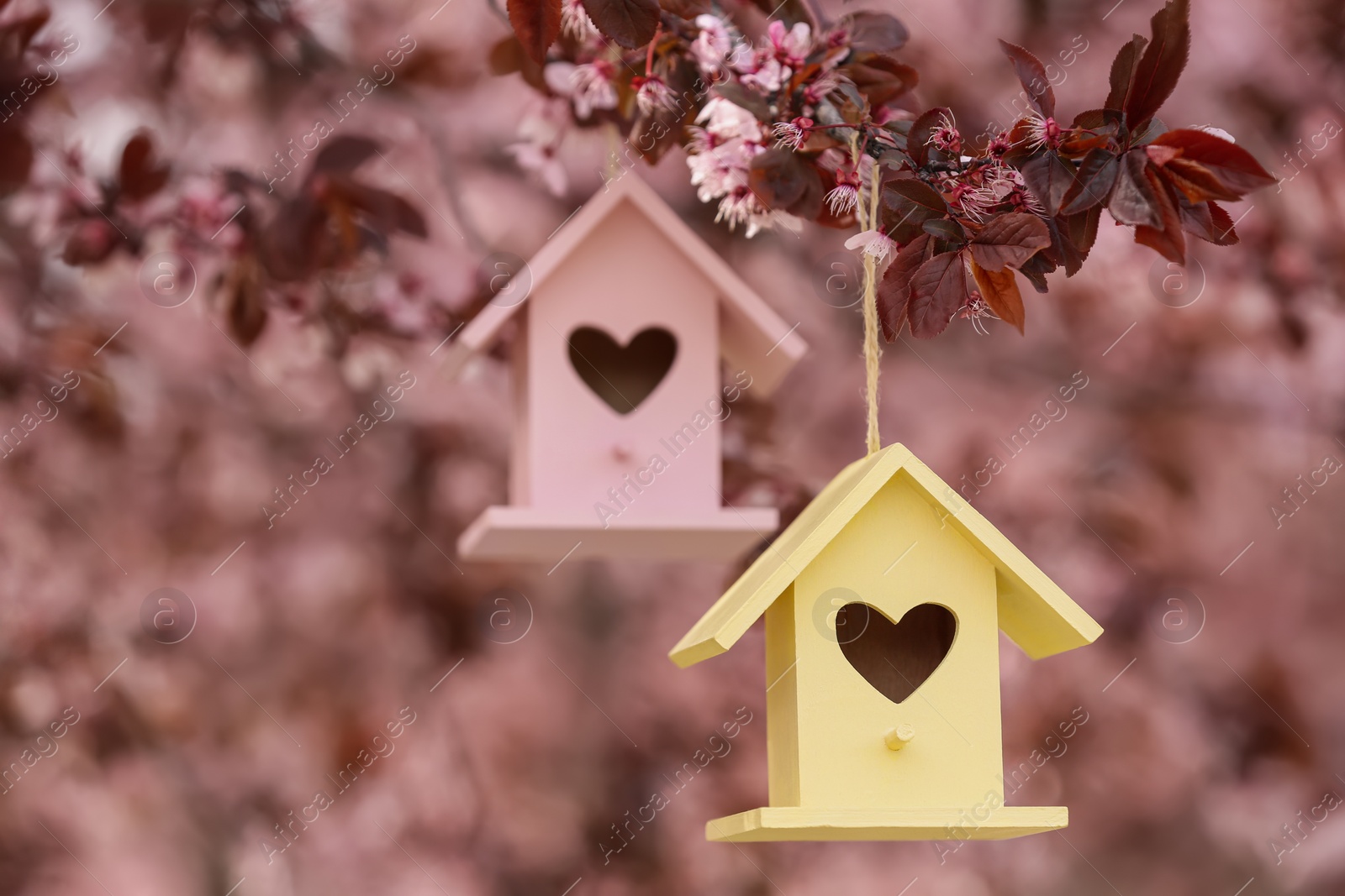 Photo of Bird houses with heart shaped holes hanging from tree outdoors