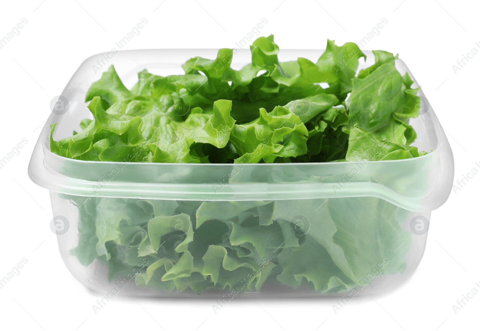 Photo of Fresh lettuce in plastic container isolated on white