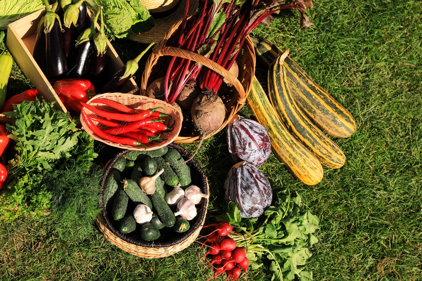 Photo of Different fresh ripe vegetables on green grass, flat lay