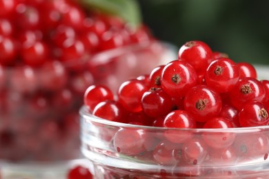 Photo of Many ripe red currants on blurred background, closeup. Space for text