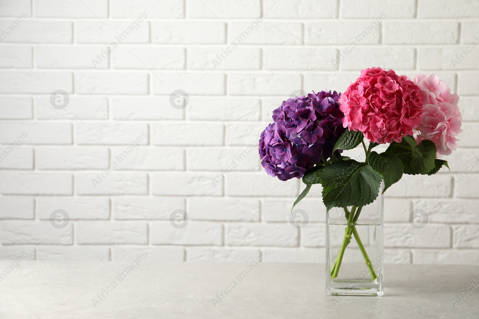 Photo of Vase with beautiful hortensia flowers on light table near white brick wall. Space for text