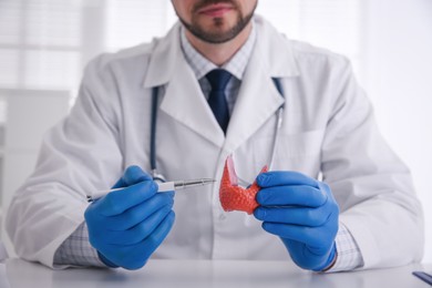Photo of Doctor showing thyroid gland model at table indoors, closeup