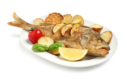 Photo of Tasty homemade roasted perch with garnish on white background. River fish