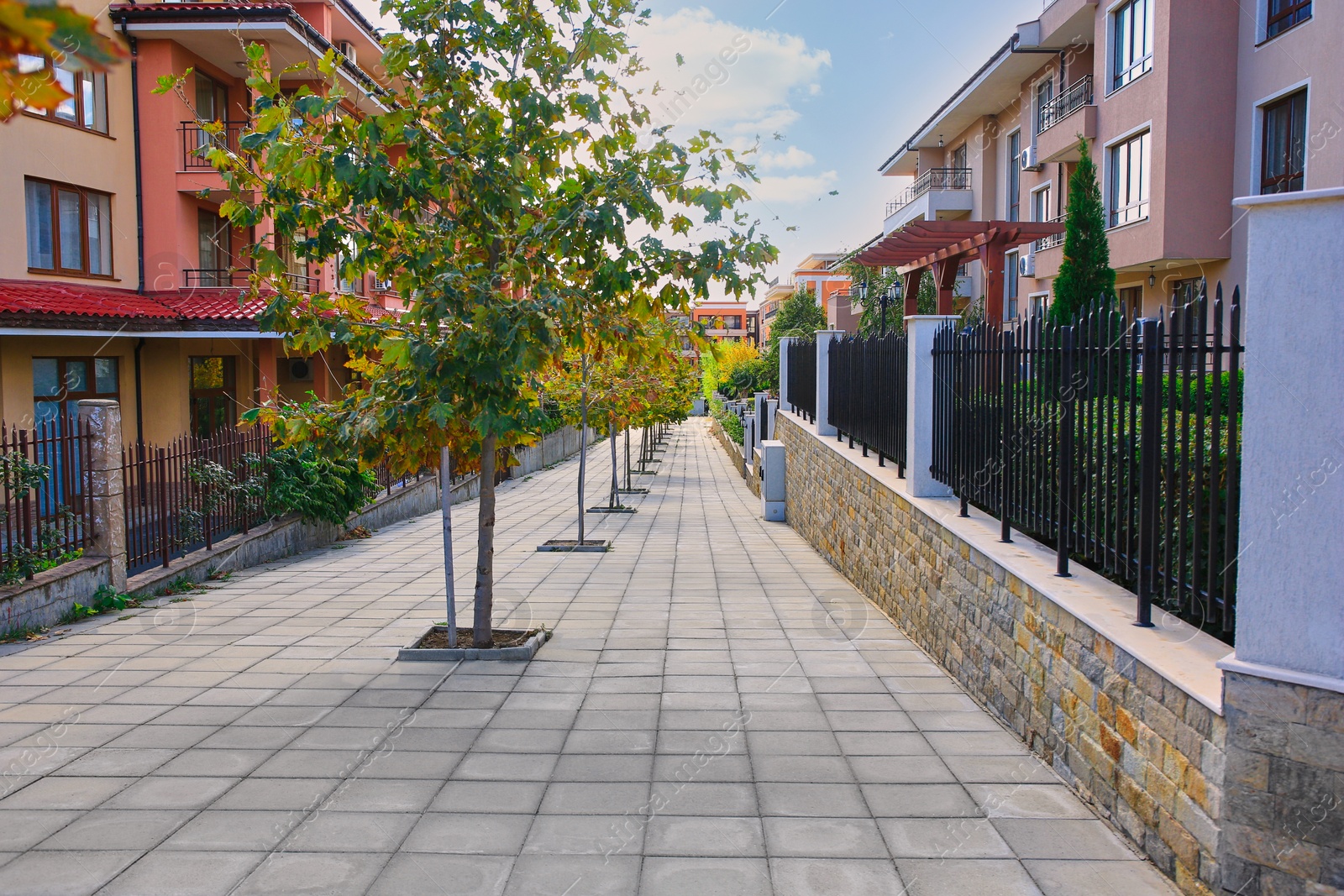 Photo of View of beautiful city street with trees and buildings