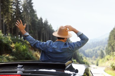 Photo of Enjoying trip. Man leaning out of car roof outdoors, back view