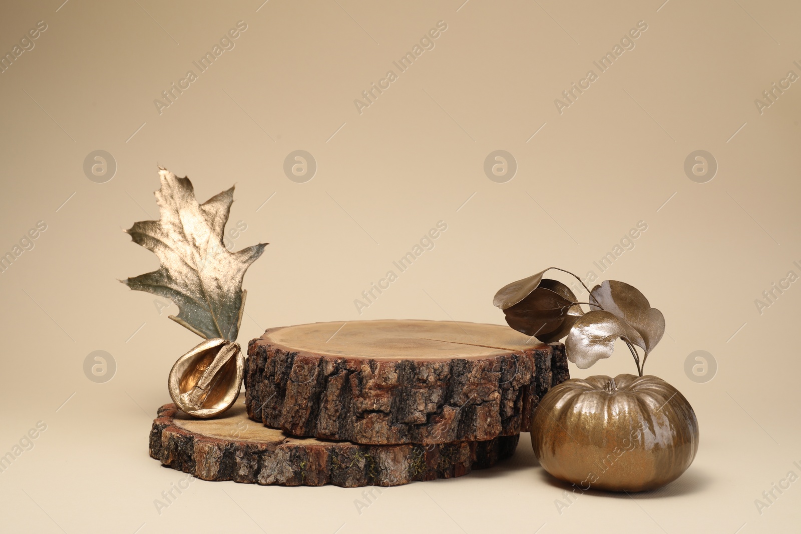 Photo of Stylish presentation for product. Wooden stumps and autumn golden decor on beige background, space for text