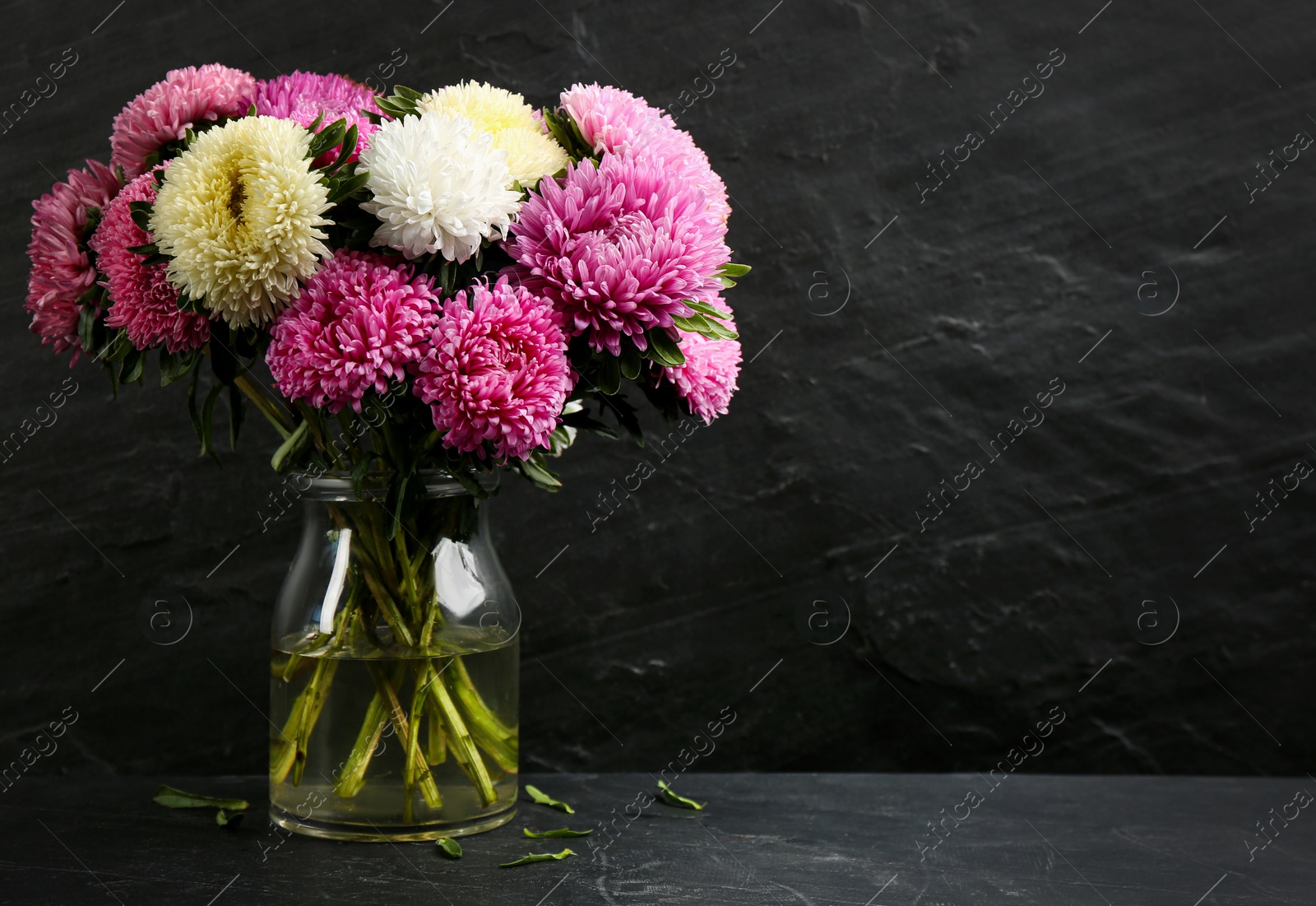 Photo of Beautiful asters in vase on table against black background, space for text. Autumn flowers