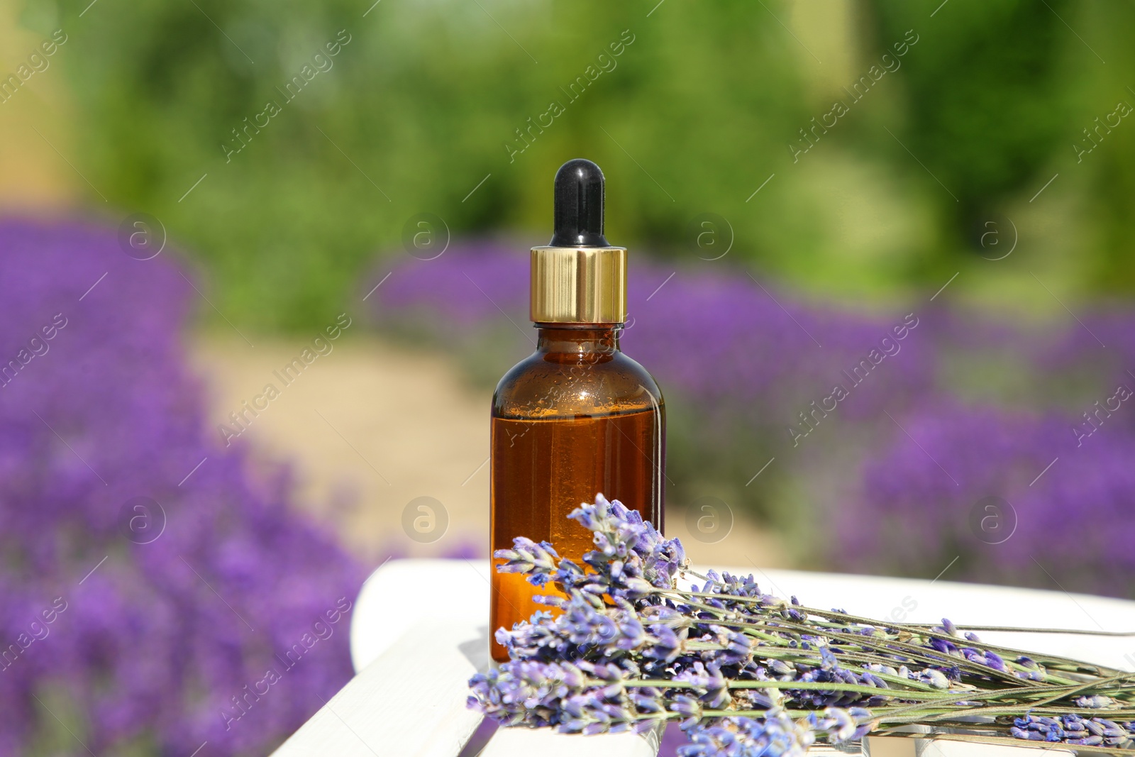 Photo of Bottle of essential oil and lavender flowers on white wooden table in field, closeup