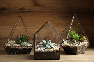 Glass florarium vases with succulents on wooden table