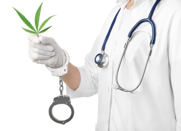 Photo of Doctor in handcuffs holding leaf of medical hemp on white background, closeup