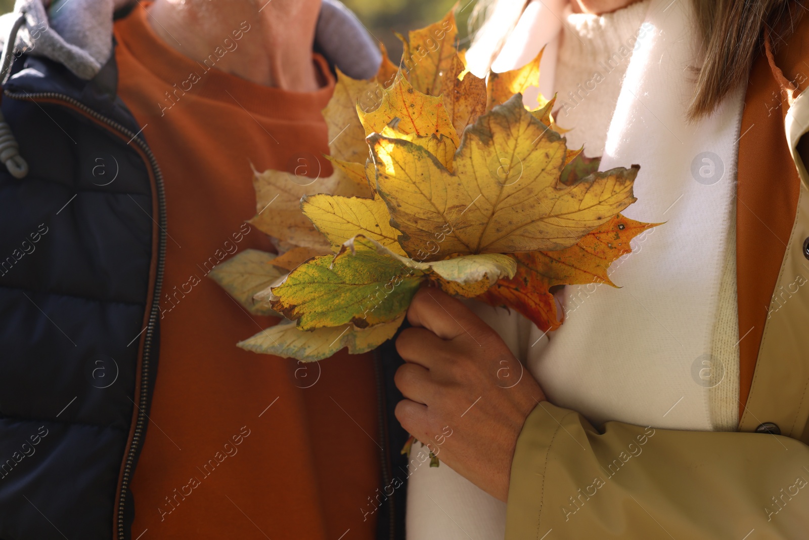 Photo of Senior couple with autumn dry leaves outdoors, closeup