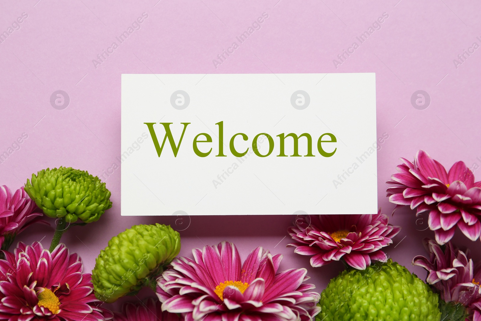 Image of Welcome card and beautiful flowers on pink background, top view