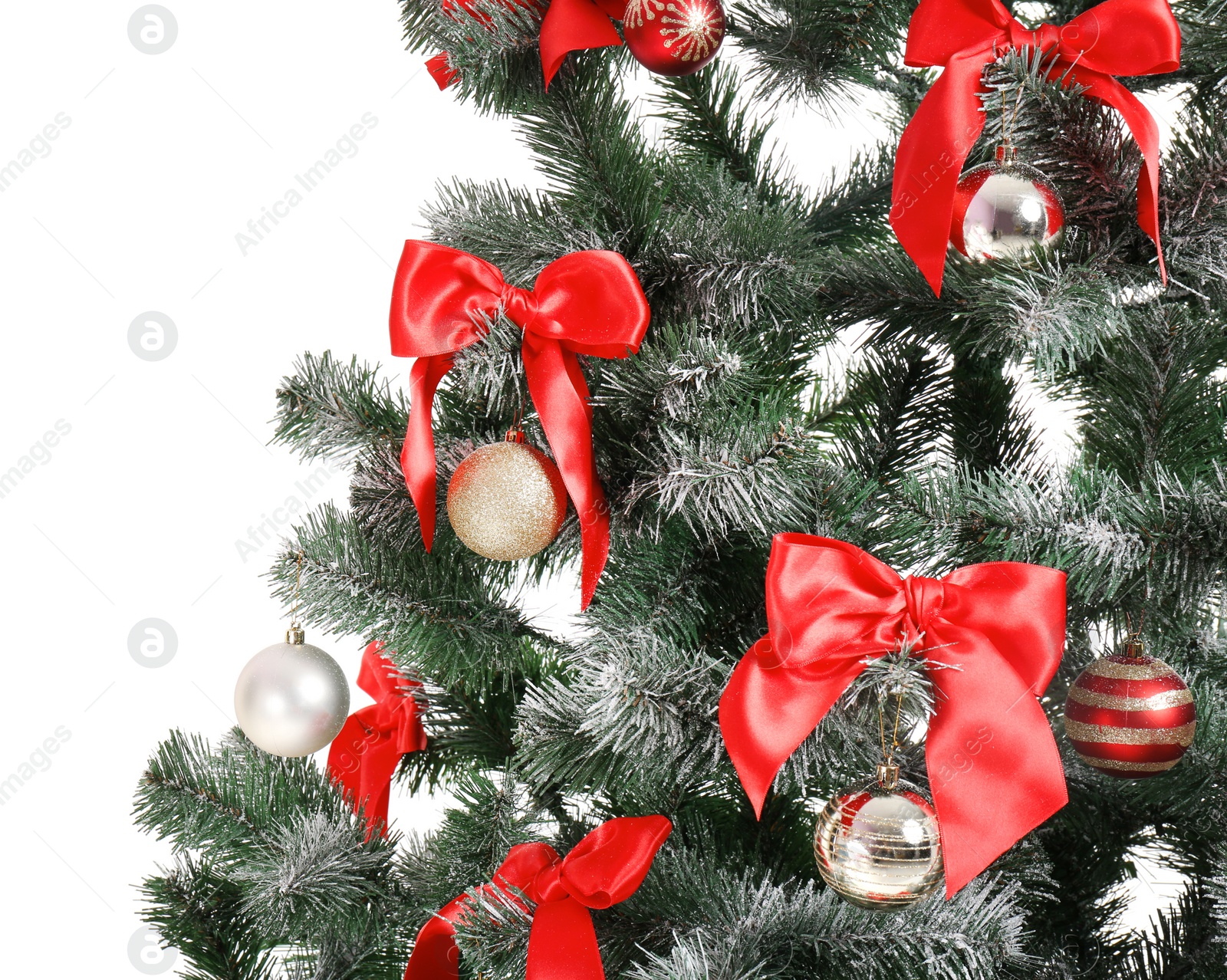 Photo of Beautiful Christmas tree with decor on white background, closeup. Celebration time