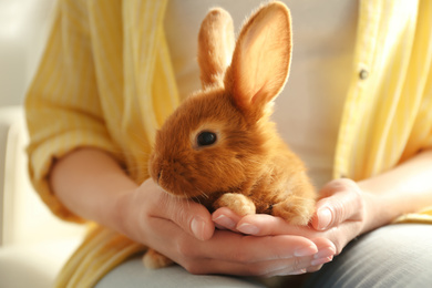 Photo of Young woman with adorable rabbit indoors, closeup. Lovely pet