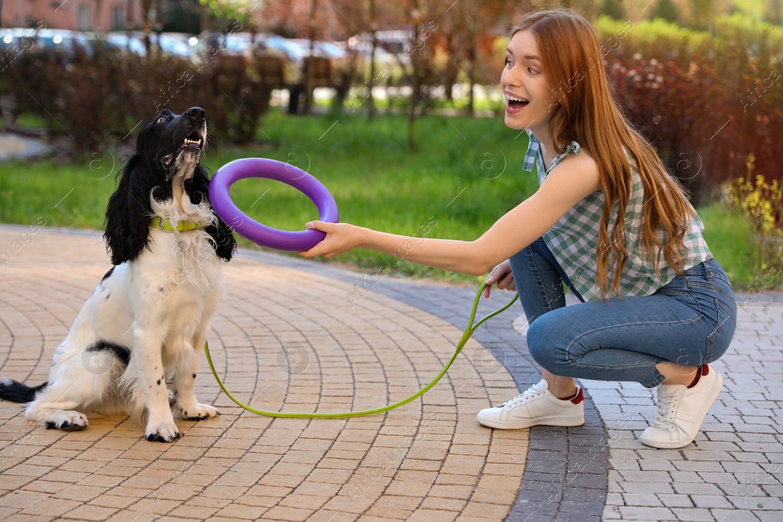 Photo of Woman playing with her English Springer Spaniel dog outdoors