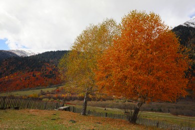 Picturesque view of fence in mountains with forest on autumn day