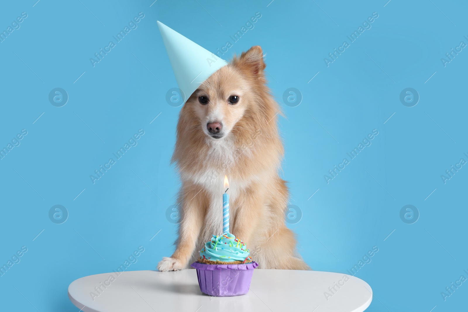 Photo of Cute dog wearing party hat at table with delicious birthday cupcake on light blue background