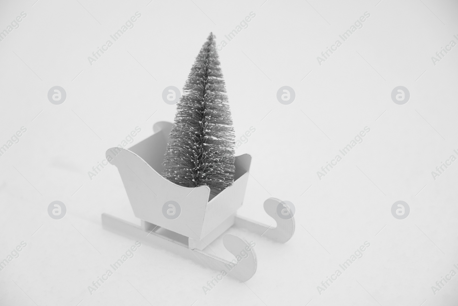 Photo of White wooden sleigh with decorative fir tree on snow outdoors