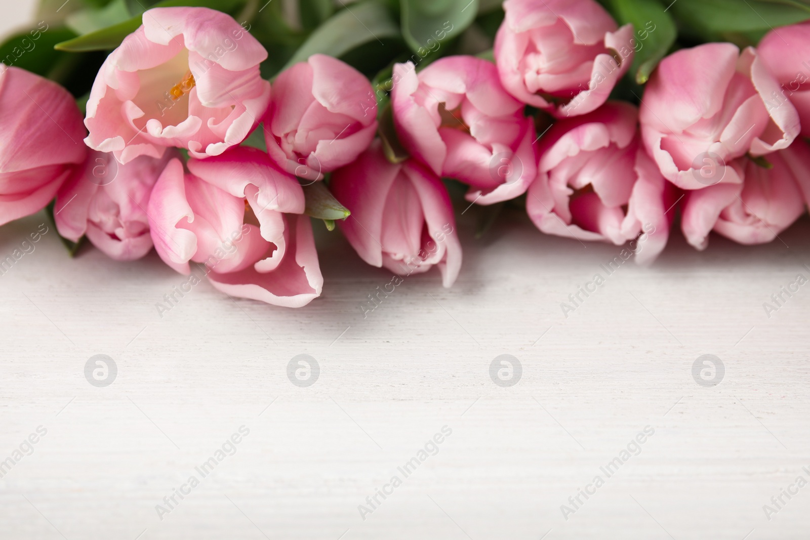 Photo of Beautiful pink spring tulips on white wooden background, closeup. Space for text