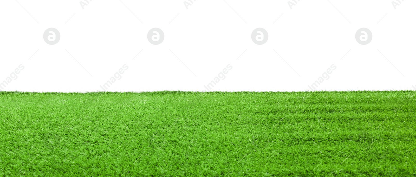 Photo of Green artificial grass surface isolated on white