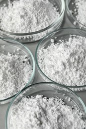 Photo of Petri dishes with calcium carbonate powder on grey table, closeup