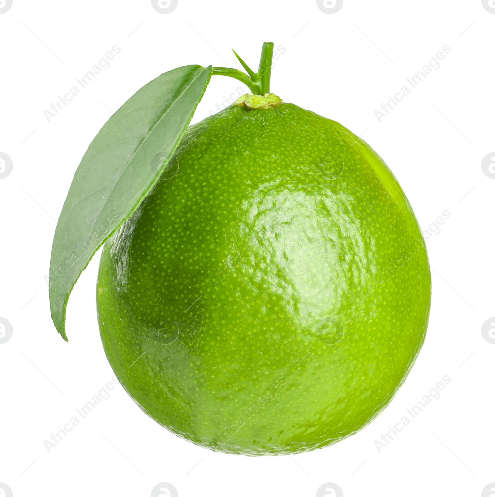 Photo of Fresh green ripe lime with leaf isolated on white