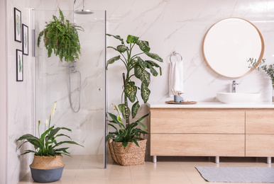 Photo of Green plants in elegant modern bathroom. Interior design