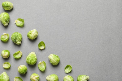 Tasty fresh Brussels sprouts on grey background, top view with space for text