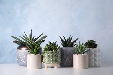 Photo of Different house plants in pots on white table