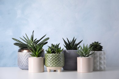 Different house plants in pots on white table