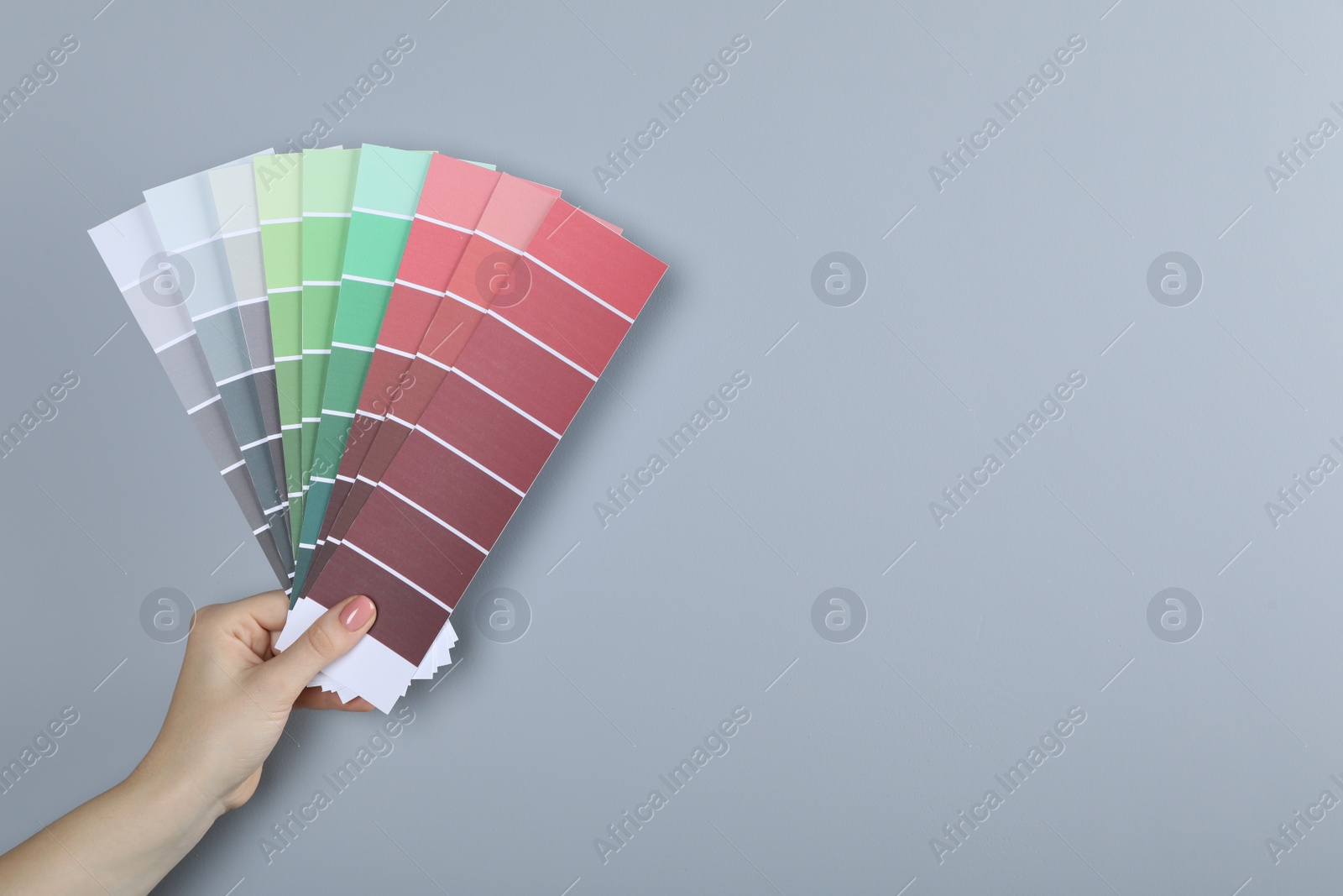 Photo of Woman with paint chips choosing color near grey wall, closeup. Interior design