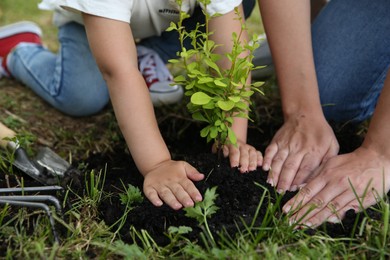 Photo of Mother and her daughter planting tree together in garden, closeup