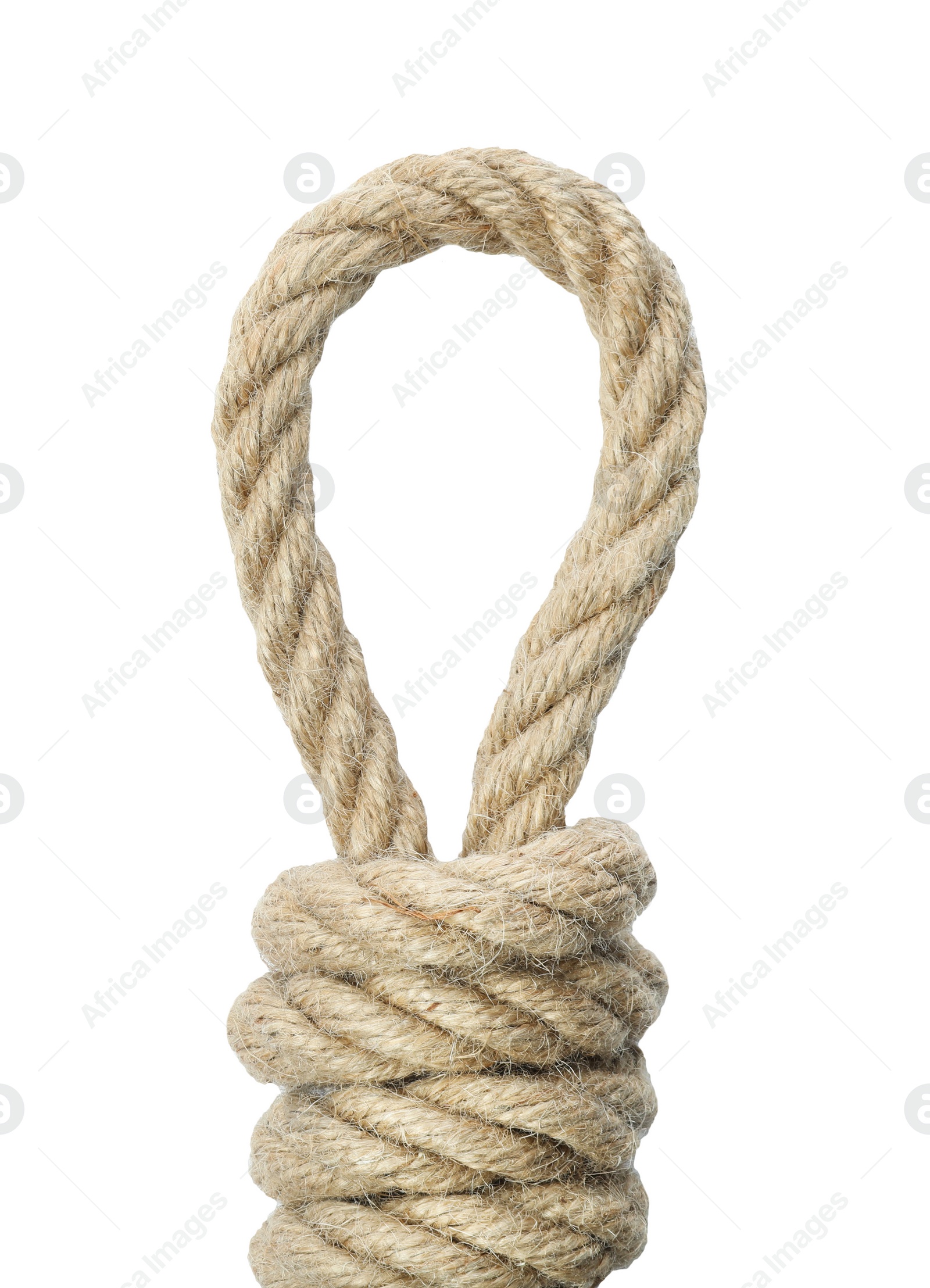 Photo of Hemp rope with loop isolated on white, top view