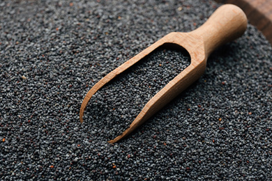 Photo of Poppy seeds and wooden scoop, closeup view