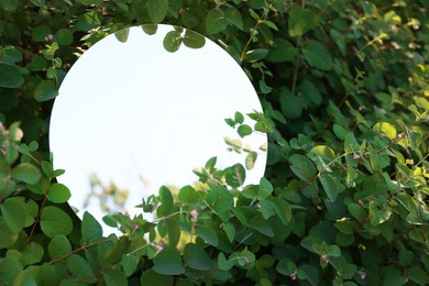 Photo of Round mirror among bush branches reflecting sky. Space for text