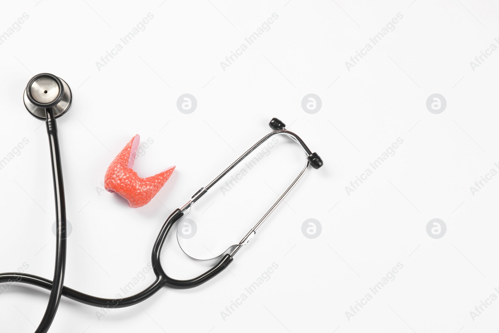 Photo of Endocrinology. Stethoscope and model of thyroid gland on white background, top view. Space for text