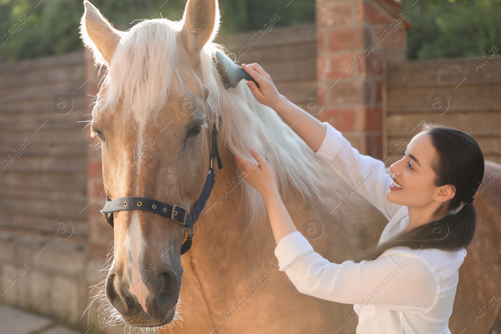 Photo of Woman brushing adorable horse outdoors. Pet care