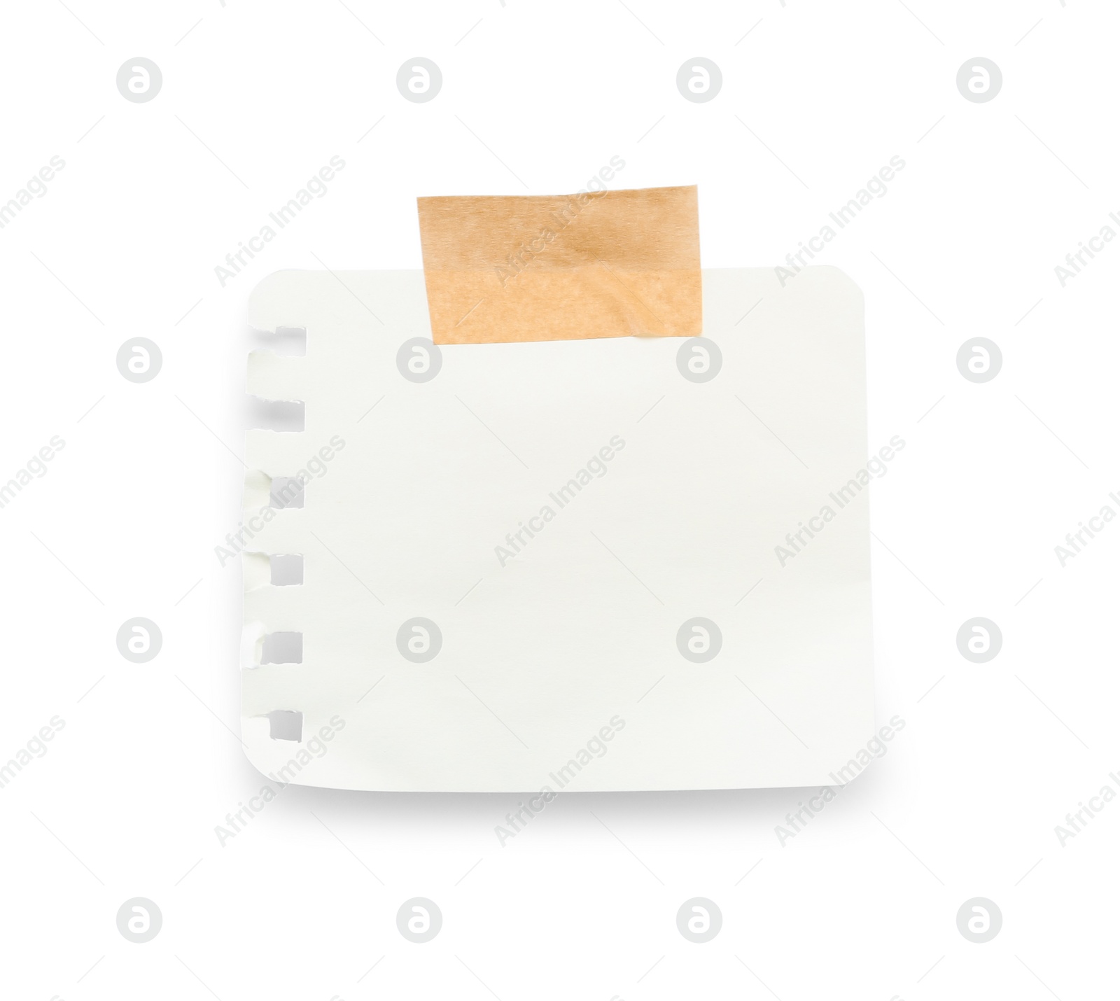 Photo of Blank notebook sheet and adhesive tape isolated on white