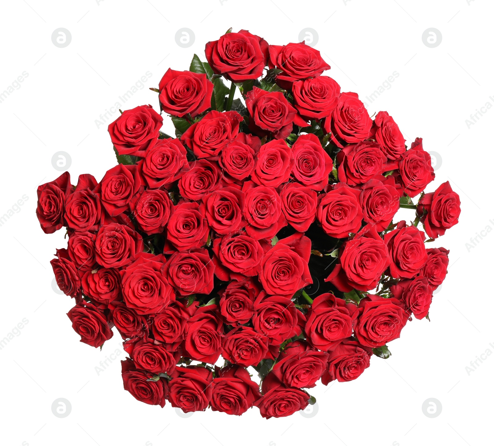 Photo of Luxury bouquet of fresh red roses isolated on white, top view