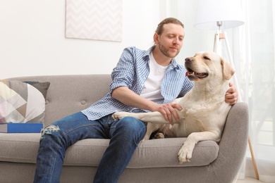 Photo of Adorable yellow labrador retriever with owner on couch indoors