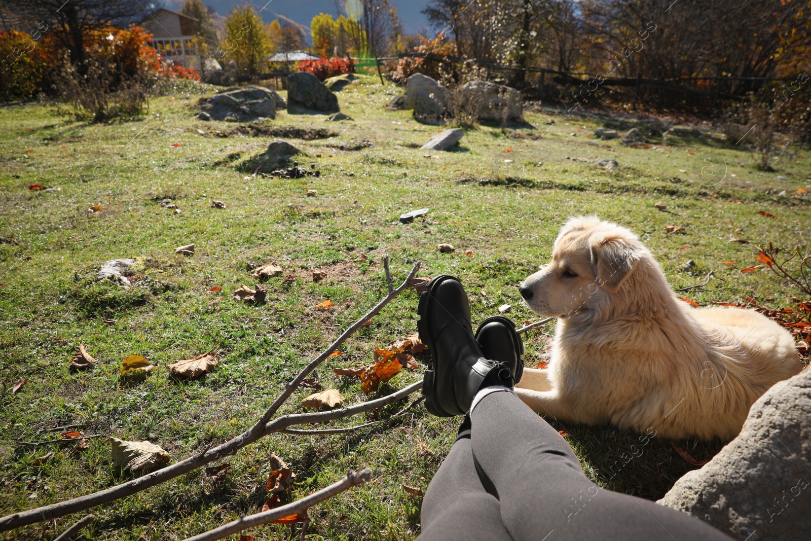 Photo of Woman with adorable dog in mountains on sunny day, closeup