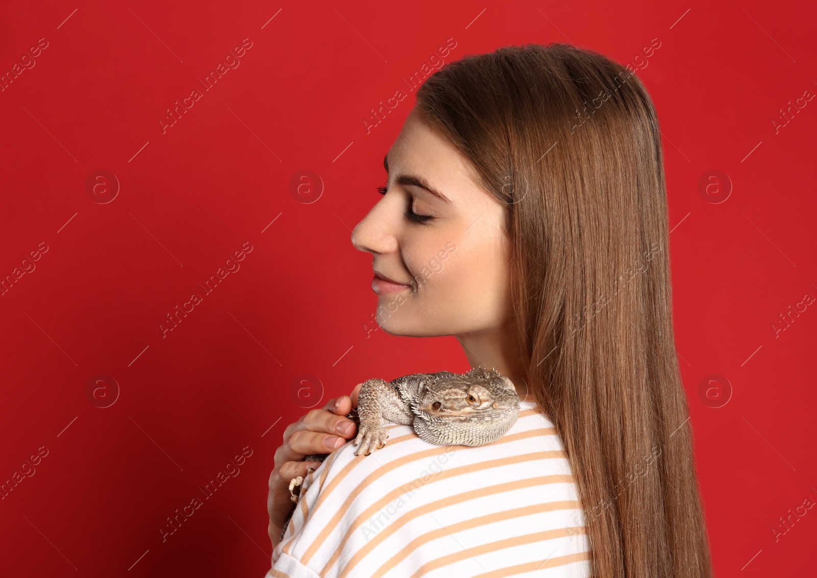 Photo of Woman holding bearded lizard on red background. Exotic pet